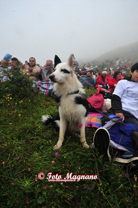 DSC_3888.jpg